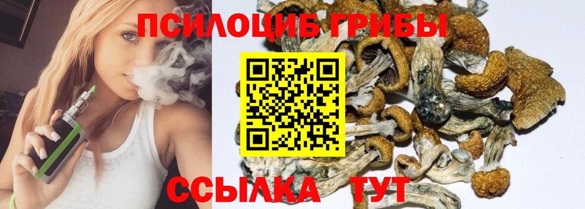 Галлюциногенные грибы Cubensis Горно-Алтайск